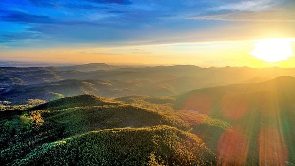 Dadia-Lefkimi-Soufli National Park -Credits Shutterstock