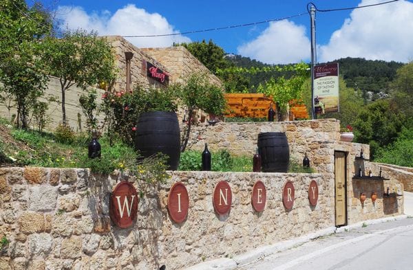 Wijnproeven op Rhodos (Foto Niels Bakker) (3)._600JPG