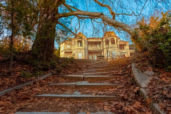 Culturele-prioriteiten